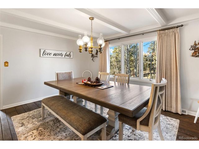 231 S Forty Rd, Woodland Park, CO 80863