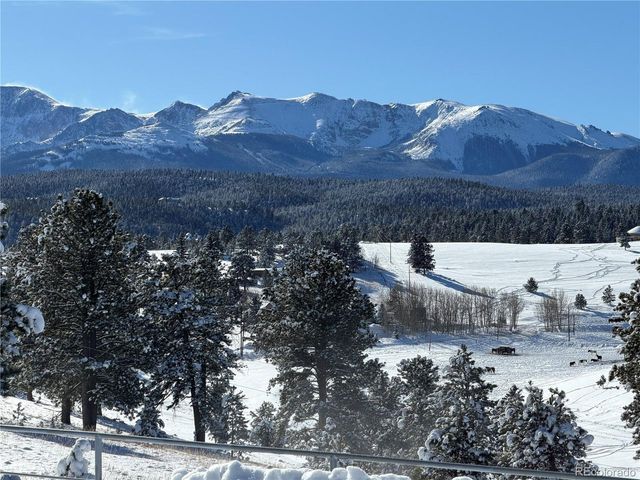 231 S Forty Rd, Woodland Park, CO 80863