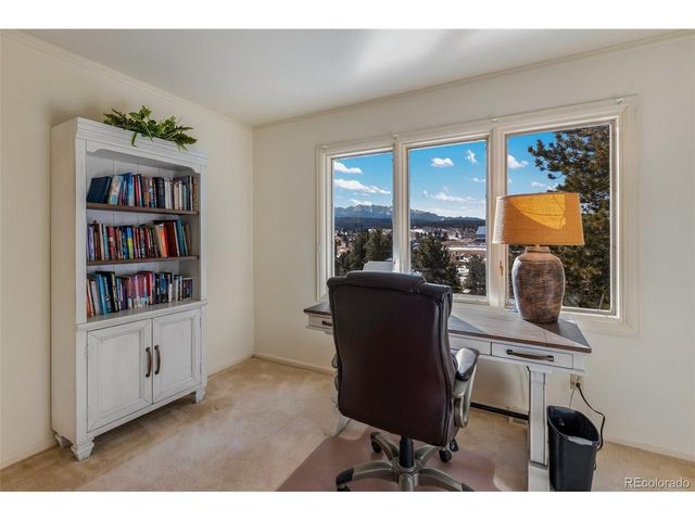 231 S Forty Rd, Woodland Park, CO 80863