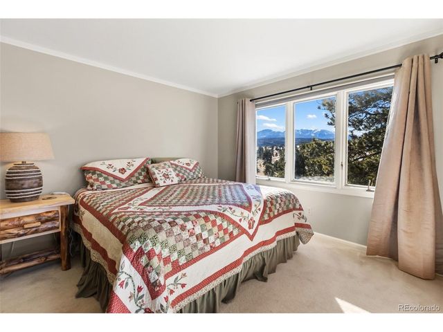 231 S Forty Rd, Woodland Park, CO 80863