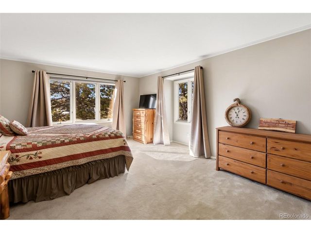 231 S Forty Rd, Woodland Park, CO 80863