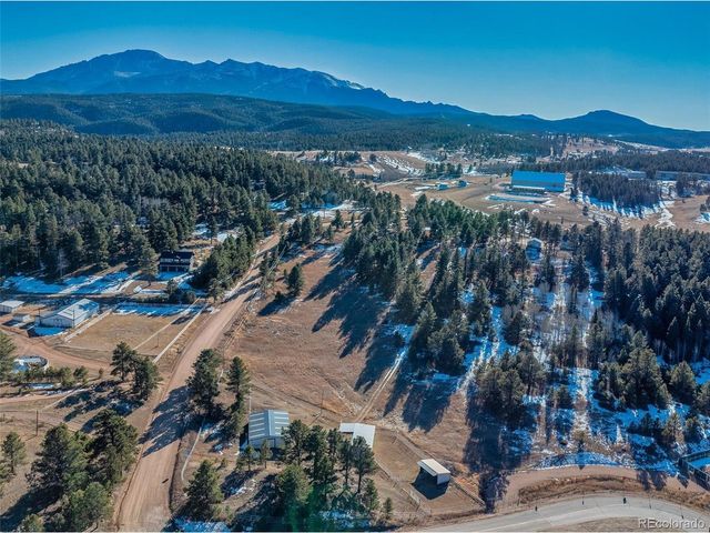 231 S Forty Rd, Woodland Park, CO 80863