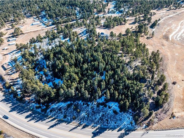 231 S Forty Rd, Woodland Park, CO 80863