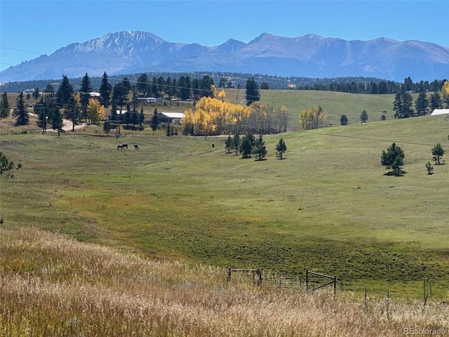 231 S Forty Rd, Woodland Park, CO 80863