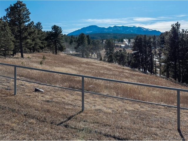 231 S Forty Rd, Woodland Park, CO 80863