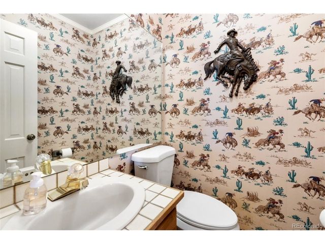 231 S Forty Rd, Woodland Park, CO 80863