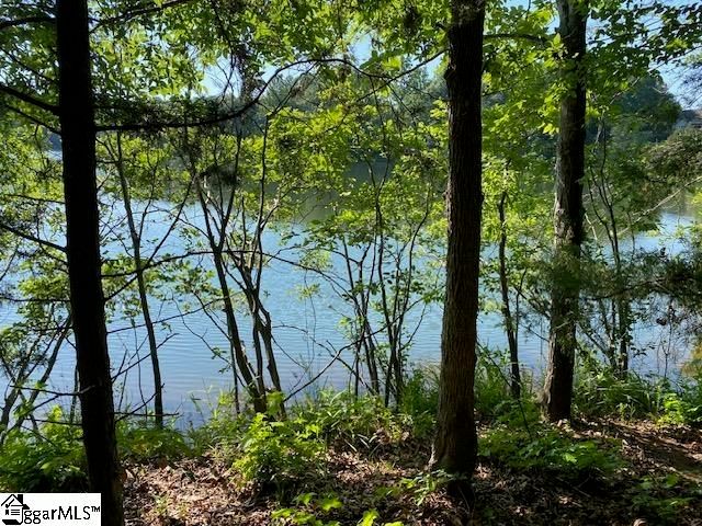 102 Peninsula Drive, Laurens, SC 29360