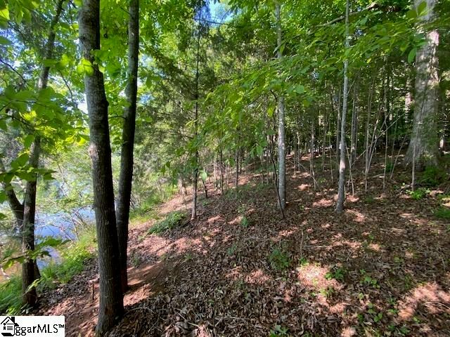 102 Peninsula Drive, Laurens, SC 29360