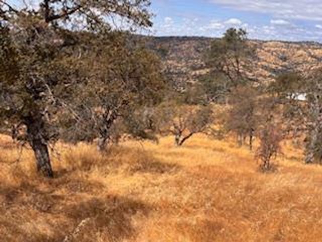 1510 Lilley Mountain, Coarsegold, CA 93614