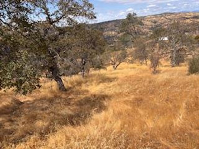 1510 Lilley Mountain, Coarsegold, CA 93614