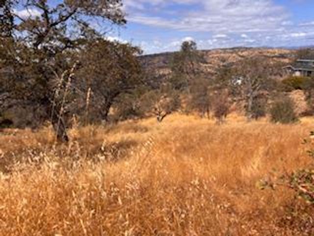 1510 Lilley Mountain, Coarsegold, CA 93614