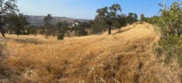 1510 Lilley Mountain, Coarsegold, CA 93614