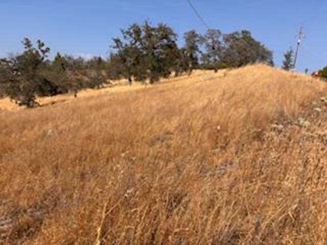 1510 Lilley Mountain, Coarsegold, CA 93614