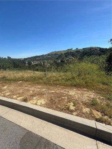 2105 Oak Canyon, Chino Hills, CA 91709