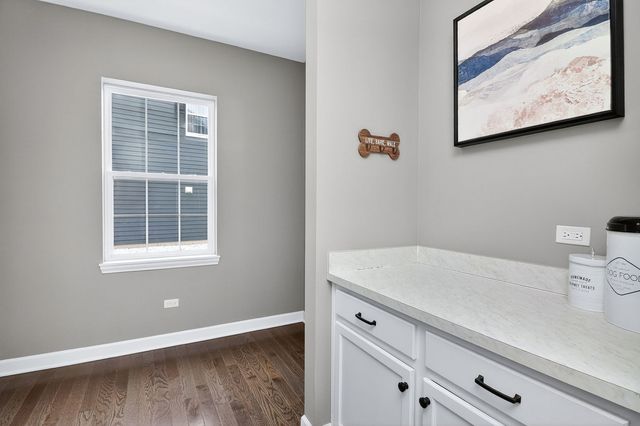 13751 Buchanan Drive, Lemont, IL 60439