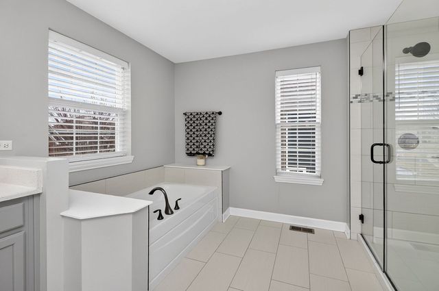 13751 Buchanan Drive, Lemont, IL 60439