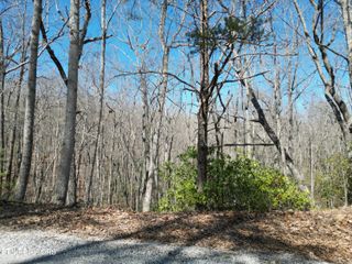 607 St George Drive, Crossville, TN 38558