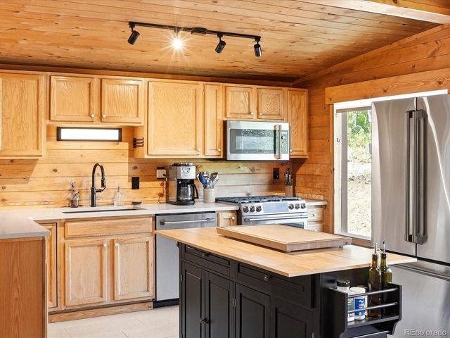 277 Timbertop Rd, Bailey, CO 80421
