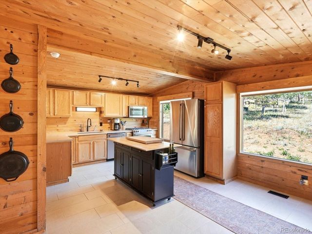277 Timbertop Rd, Bailey, CO 80421