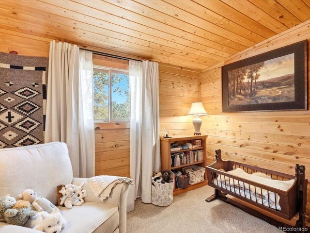 277 Timbertop Rd, Bailey, CO 80421