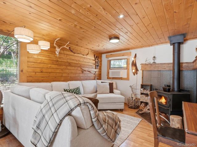 277 Timbertop Rd, Bailey, CO 80421