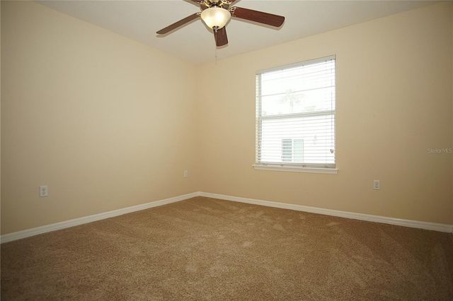 11406 MARBELLA TERRACE STREET, Tampa, FL 33637