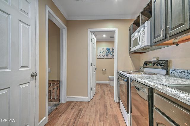 107 Springview Drive, Gray, TN 37615