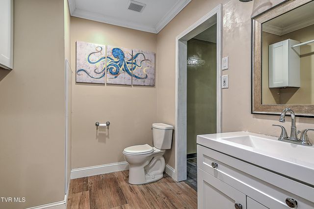 107 Springview Drive, Gray, TN 37615