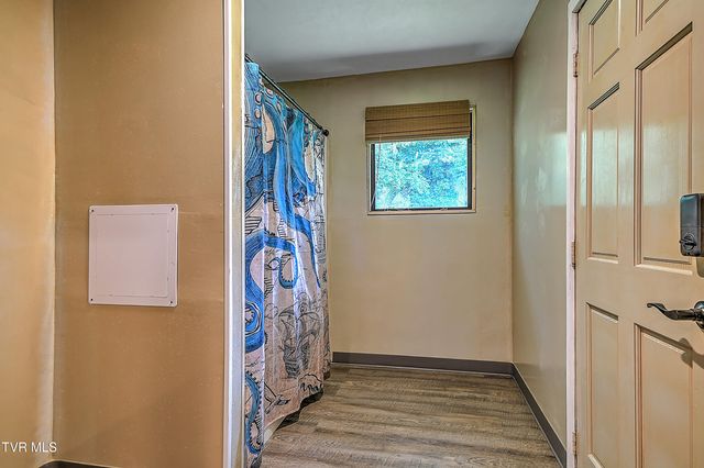 107 Springview Drive, Gray, TN 37615