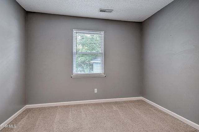 107 Springview Drive, Gray, TN 37615