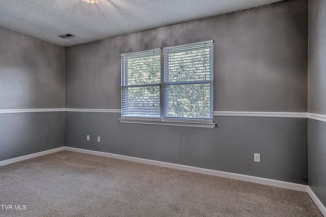 107 Springview Drive, Gray, TN 37615