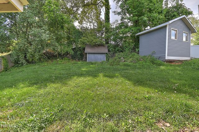 107 Springview Drive, Gray, TN 37615