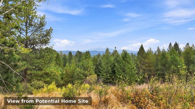 44xxx E North Park Ln, Deer Park, WA 99006