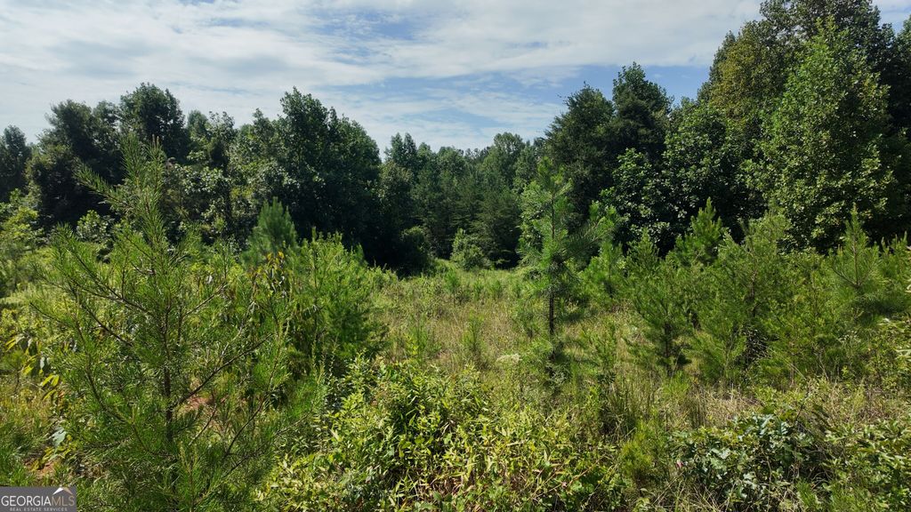 10.8 AC Cody Road, Mount Airy, GA 30563 — photo 3