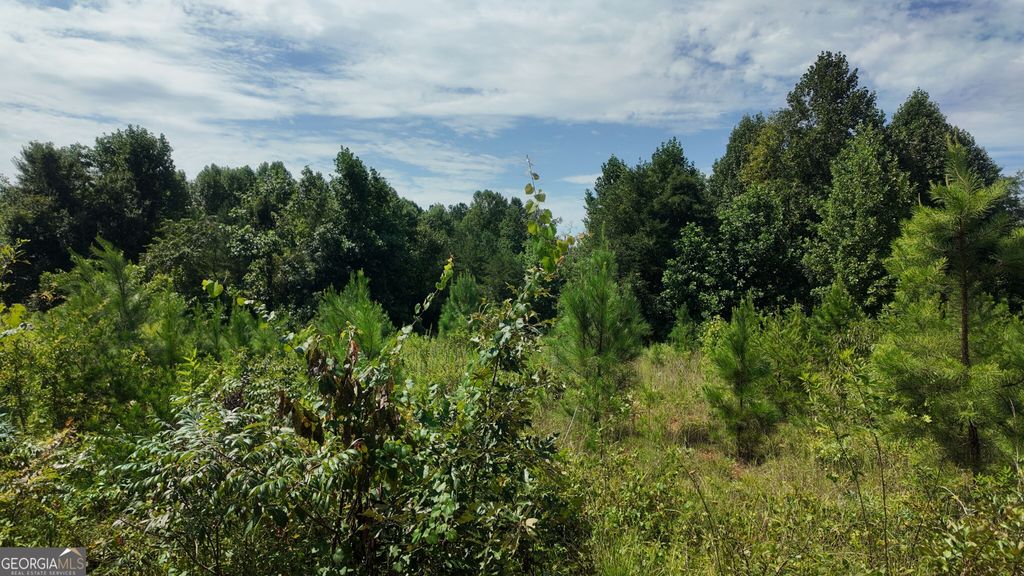 10.8 AC Cody Road, Mount Airy, GA 30563 — photo 4