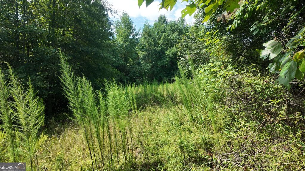 10.8 AC Cody Road, Mount Airy, GA 30563 — photo 5