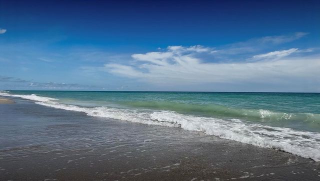 50 Celestial Way 305, Juno Beach, FL 33408