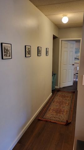 135 Pleasant St 305, Brookline, MA 02446