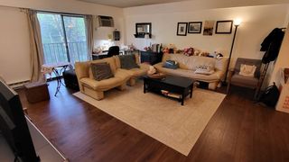 135 Pleasant St 305, Brookline, MA 02446