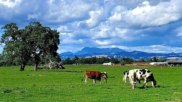 1979 Ludwig Ave, Santa Rosa, CA 95407