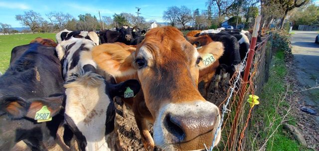 1979 Ludwig Ave, Santa Rosa, CA 95407