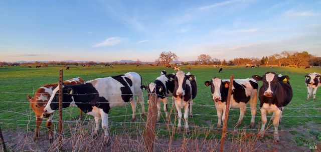 1979 Ludwig Ave, Santa Rosa, CA 95407