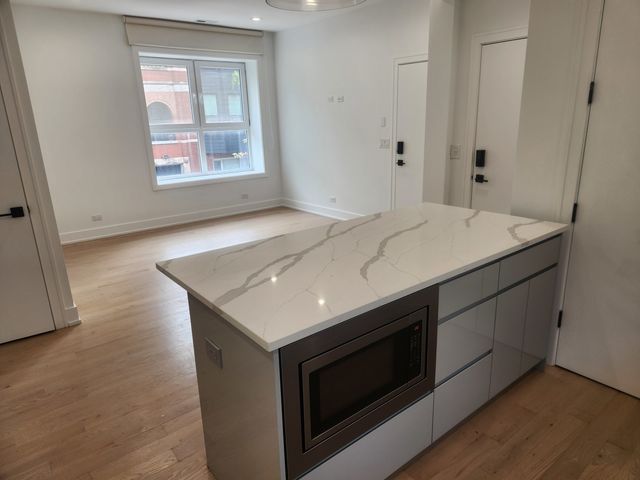 2202 W Race Avenue 2E, Chicago, IL 60612