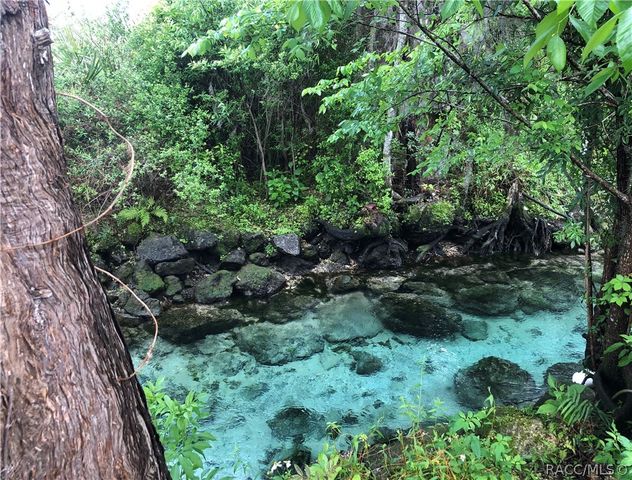 1835 N Litchfield Point, Crystal River, FL 34429