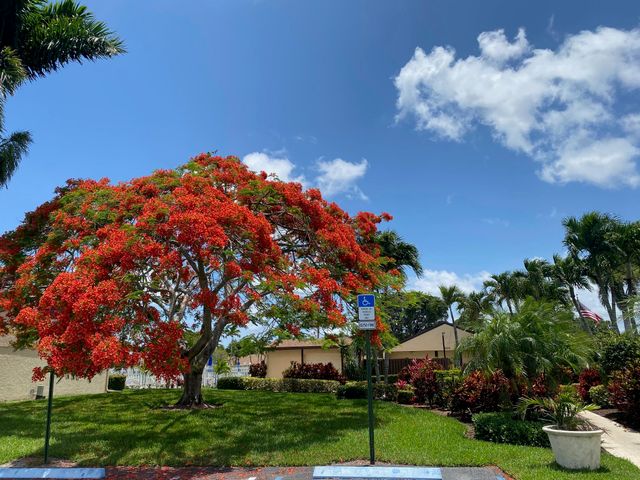 806 Sky Pine Way G3, Greenacres, FL 33415