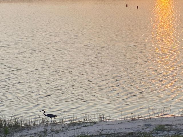 806 Sky Pine Way G3, Greenacres, FL 33415