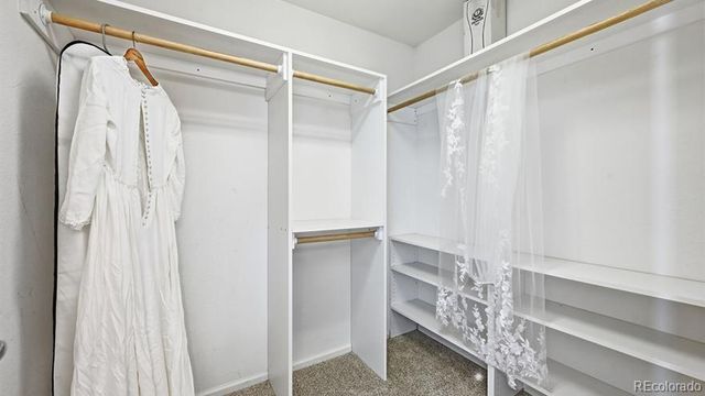 7869 Solstice Way, Castle Rock, CO 80108