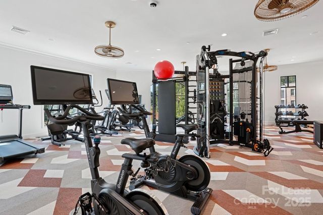 19020 Potts Park Lane C1, Davidson, NC 28036