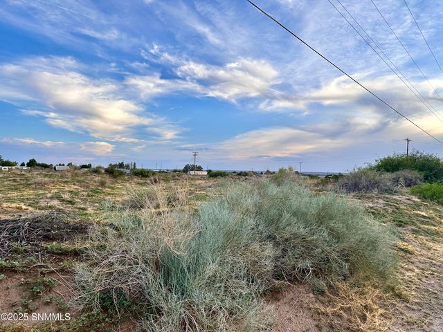TBD SHRODE Road, Anthony, NM 88021