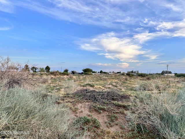 TBD SHRODE Road, Anthony, NM 88021
